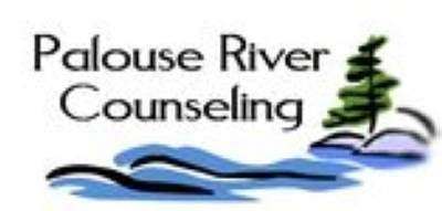 anew river counseling services